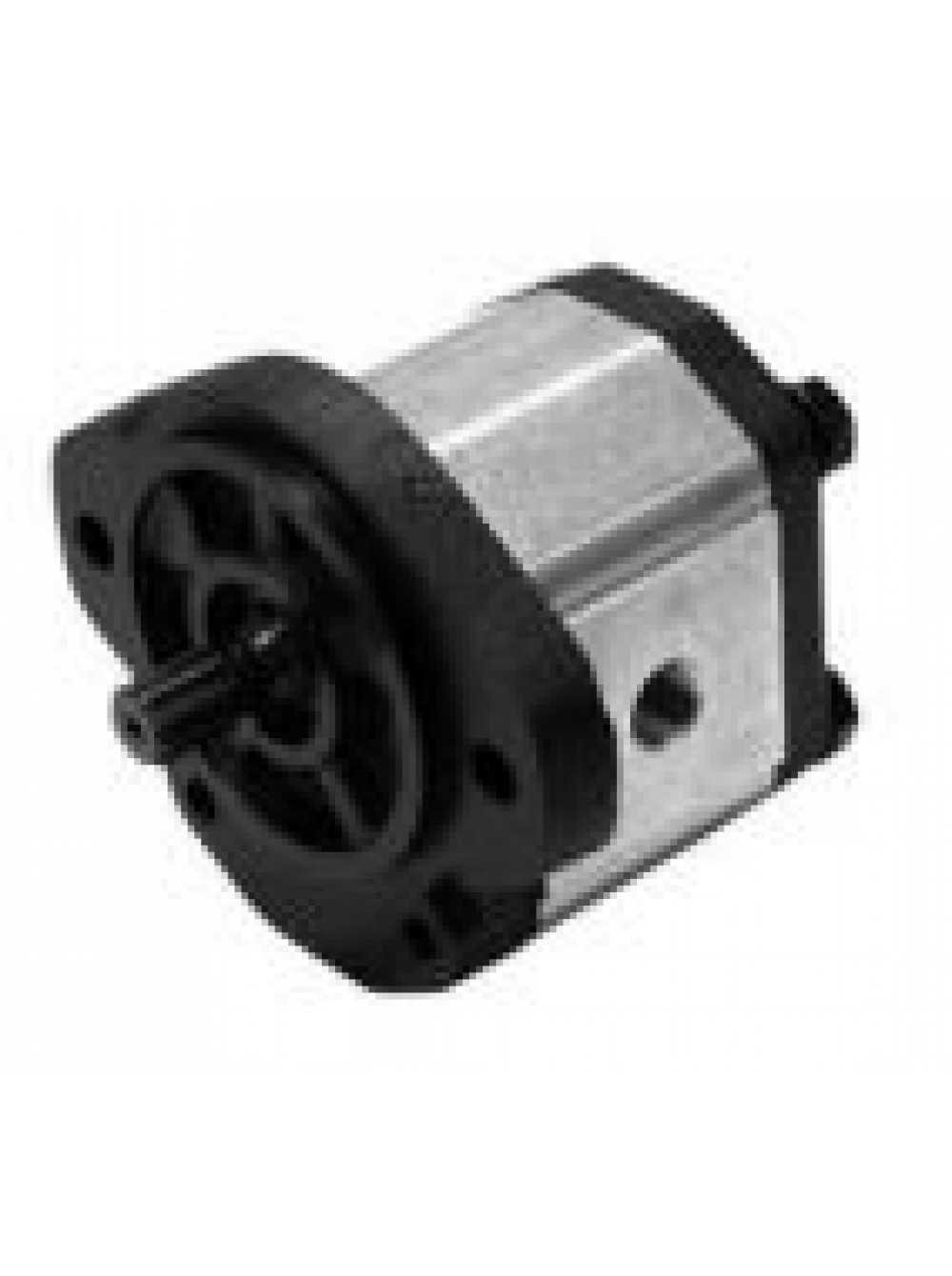 1pla36dg9r-1000x1340 Гидронасос Roquet 1PLA36DG9R — изображение 1